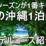 【オフシーズンが1番キレイ！】1泊2日沖縄旅行モデルルート！