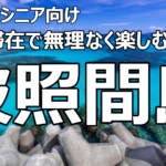 【2025年版】波照間島『半日滞在』島内8000歩 お散歩コース